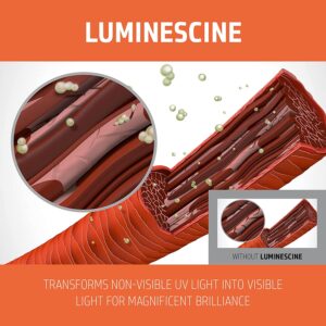 GOLDWELL COLOR REVIVE COOL RED or WARM RED